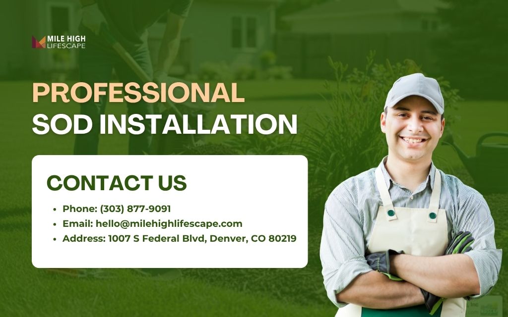 Professional installation gives new sod a stronger start across Colorado landscapes