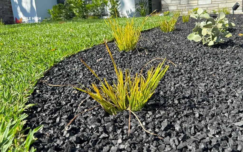 mulch path: Rubber mulch