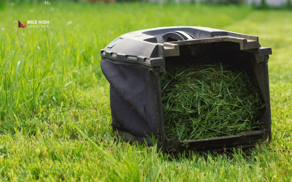 Should you bag or mulch lawn clippings?