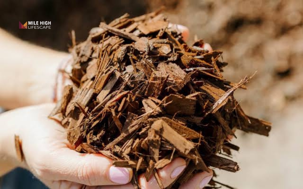 Shredded bark offers neat coverage for how to apply mulch around trees