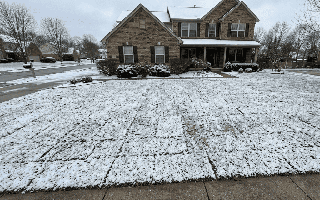 Newly laid dormant sod lawn with tight seams under a thin layer of snow in a suburban Denver front yard