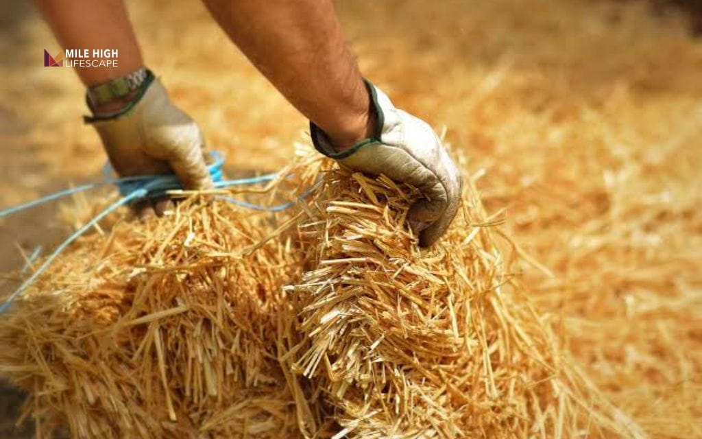 mulch path: Straw
