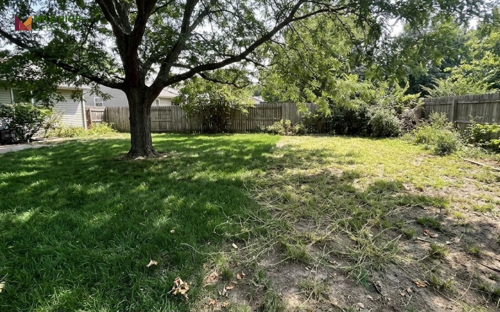 Tall fescue growing thick in tree shade beside a thin bermuda grass patch