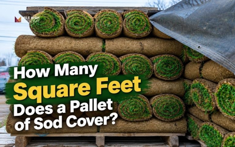 How Many Square Feet Does A Pallet Of Sod Cover? Complete Guide