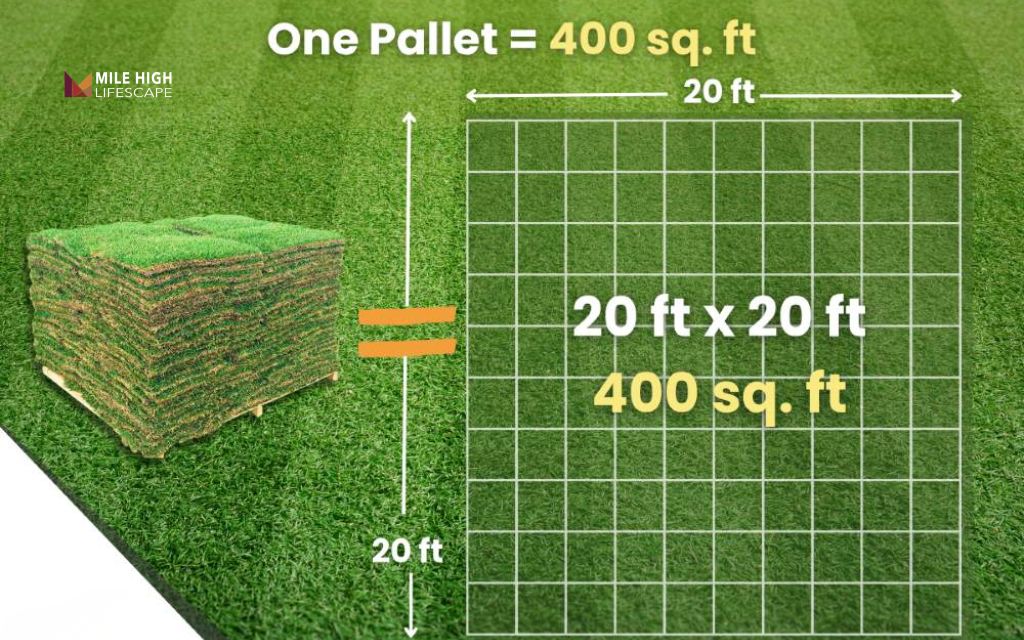 Sod size can range from small slabs to larger rolls