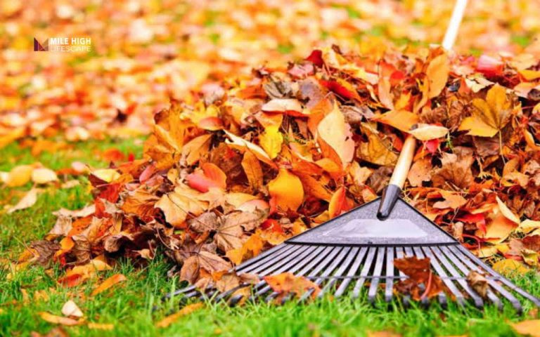 Leaf rake gathering a pile of orange and red fall leaves on green grass during a yard cleanup service